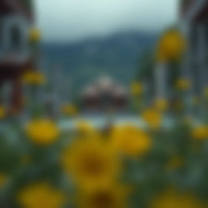 Magnificent 비트코인 백서: 기술과 경제를 넘나드는 통찰
