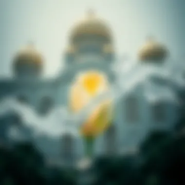Magnificent 크로노스 코인 전망 Magnificent 크로노스 코인 전망