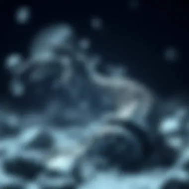 Magnificent MNT 코인: 심층 분석 및 투자 전략 Magnificent MNT 코인: 심층 분석 및 투자 전략
