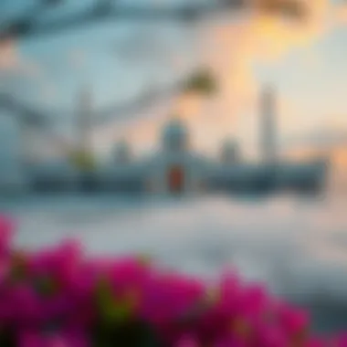 Magnificent 원 화폐와 세디 간의 환율 변동 이해하기